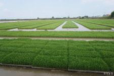 농민의 관점에서 진행하는 창원 동읍농협 육묘사업