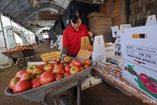 서울을 떠나더라도…친환경농사는 계속된다