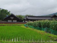 인드라망생명공동체 농사지으며 한 생명 되는 우리