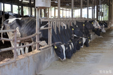 승계에 뜻 있는 부모들, 욕심 버리고 인내하자