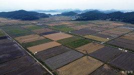 태양광 때문에 농사짓다 쫓겨난 완도 약산면 농민들