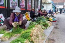 [오일장을 맛보다㊹] 고령오일장엔 시제와 건어물의 이야기가 있다