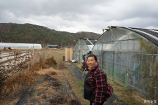 화장실 없는 논밭…여성농민의 고충
