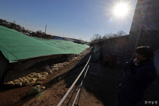 바라보기만 해도 심란한데…