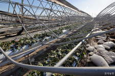 바라보기만 해도 심란한데…