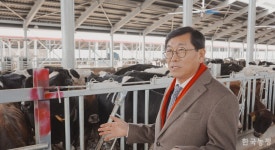 국내 낙농 최초 기가팜 탄생의 의미