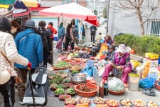 [오일장을 맛보다㊽] 부산의 경동시장이라 부르고 싶은 구포시장의 모태, 구포오일장