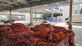 미어터지는 가락시장 채소2동…우려가 현실로