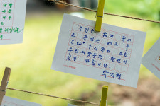 느티나무 환갑잔치 열었어요