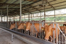 폭염 속 사육, 에너지 사용 말곤 답 없는데…요금 부담 너무 커