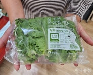 친환경 인증 농산물에서 지워진 부부생산자 이름