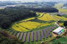 농촌 태양광, 그 불안정한 질주