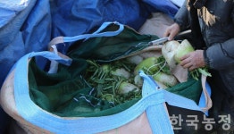 '높디높은' 학교급식 품위기준에 친환경농가 울상
