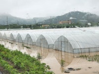 배수펌프 고장 안 났어도 침수 피할 수 없었다는 재판부