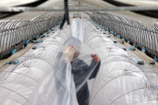 매서운 한파에...삼중 비닐 설치