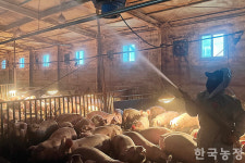 우리 없인 농업도 멈춘다 네팔 청년들의 한국 농촌 생존기