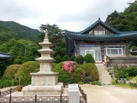 뜨는 여행지 울산의 숨은 명소와 지역명물 언양불고기까지