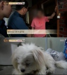 동물농장, 매일 밤 학대 받은 개 안구 파열