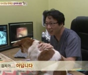 동물농장 역대급 반전 3년만에 돌아온 바람둥이 강아지 감자의 정체에 충격 (영상)