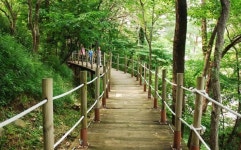 [추천! 5월에 걷기 좋은 길] 걷기여행길 4_경남 함양군의 선비문화탐방로 1코스