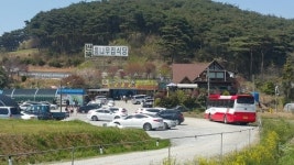 게국지 맛집 딴뚝통나무식당, 안면도 명물 꽃게 사용한 메뉴 제공