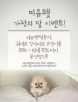 미유펫 울산점, 가정의 달 강아지분양 할인 이벤트 진행