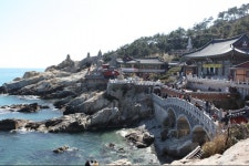 부산 명소 해동용궁사-감천문화마을-동백섬 포토여행...해안 절경과 문화를 동시에