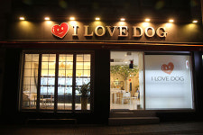 위탁견 전문 분양샵 아이러브독, 정직한 강아지분양 선도