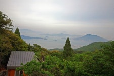 [6월에 가볼만한 곳] 숲, 둘레길 코스①  전남 완도수목원...우리나라 최대의 난대림을 걷다