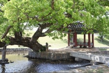 [6월에 가볼만한 곳] 숲, 둘레길 코스②   보성 제암산자연휴양림... 힐링과 모험이 공존하는 마법의 숲