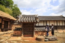 [6월에 가볼만한 곳] 숲, 둘레길 코스②   보성 제암산자연휴양림... 힐링과 모험이 공존하는 마법의 숲