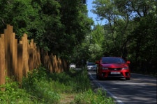 [커플 취향저격 데이트 코스] 연인과 함께 드라이브하기 좋은 곳③...데이트와 힐링을 동시에 , 경기도 포천 국립수목원로