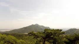 [네이버 빅데이터 추천] 8월 2째주 주말 아이와 함께 가볼만한 곳 베스트...노원구 상계동 수락산