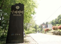 힐링하기 좋은 국내 여행 추천③남해 편백자연휴양림...다른 수종에 비해 많은 양의 피토치드를 뿜어내는 편백나무