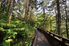 [8월에 가볼만한 여행길] 야경 일품 걷기 좋은 길⑤ ...대전 대청호반길 1코스 코스 경로 및 거리 정보