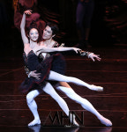 5개 발레단의 매력 뿜뿜, 차이콥스키 발레 스페셜 갈라