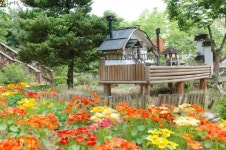 [취향저격 데이트 코스] 서울근교 드라이브 갈만한 곳...경기 여주 해여림식물원