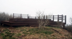 [비 오는 날 가볼만한 곳]...제주도 교래자연휴양림 ...우비 입고 운치 있는 산책