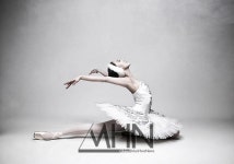 의정부예술의전당서 만나는 유니버설발레단의 백조의 호수