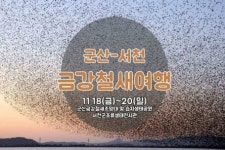 [11월 가볼만한곳_전라북도_군산/서천]  가족나들이 핫플레이_셋째주(11/13~11/19)