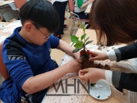 노동초등학교, 공기정화식물 통한 토피어리 만들기 활동 실시