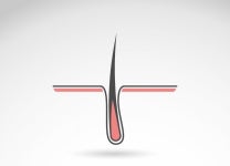 두피화장품bytheBasic | "두피재생에 효과"…탈모화장품 허위·과대광고 무더기 적발