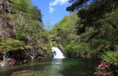 안전의식 부재로 인한 휴가철 사고는 예고된 인재