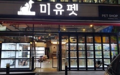광주 강아지·고양이 분양 애견샵 미유펫 그랜드오픈 80% 할인이벤트 진행