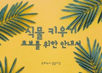[문화뉴스 알쓸다감] 식물 키우기 초보를 위한 안내서