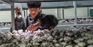 2018 젊은 농어업인들의 희망보고서 3편, 맛슈룸 농장 최승정 대표