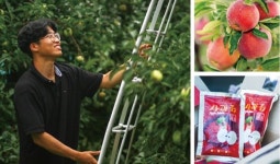 2018 젊은 농어업인들의 희망보고서 20편, 이른아침사과농장 윤준 대표