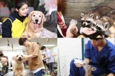 반려동물과 함께 사는 세상, 전문학교 교강사가 알려주는 올바른 강아지 훈련법1