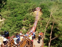 [파주 가볼만한 곳] 파주 감악산 출렁다리, 누적 방문객 수 170만 명 돌파