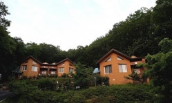 [충북 가볼만한 곳] 산속에서 즐기는 피서, 민주지산 자연휴양림